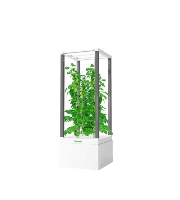 Cheerbio Climbing PlantBlock PlantBlock Climbing Module