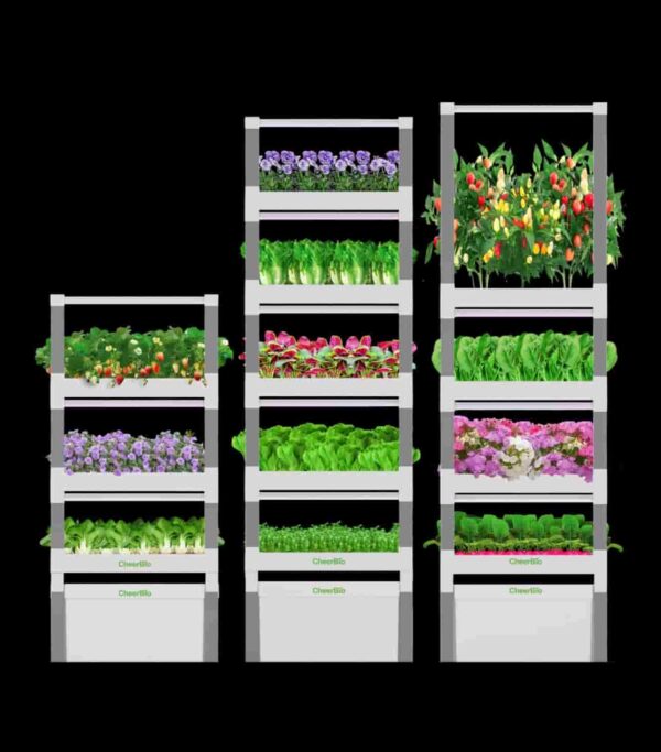 Cheerbio 3 PlantBlock Climbing Module